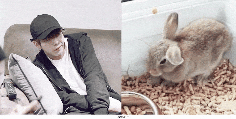 Hành động đáng yêu của Jungkook (BTS) mỗi khi tập trung không phải ai cũng biết BTS JungKook KPOP