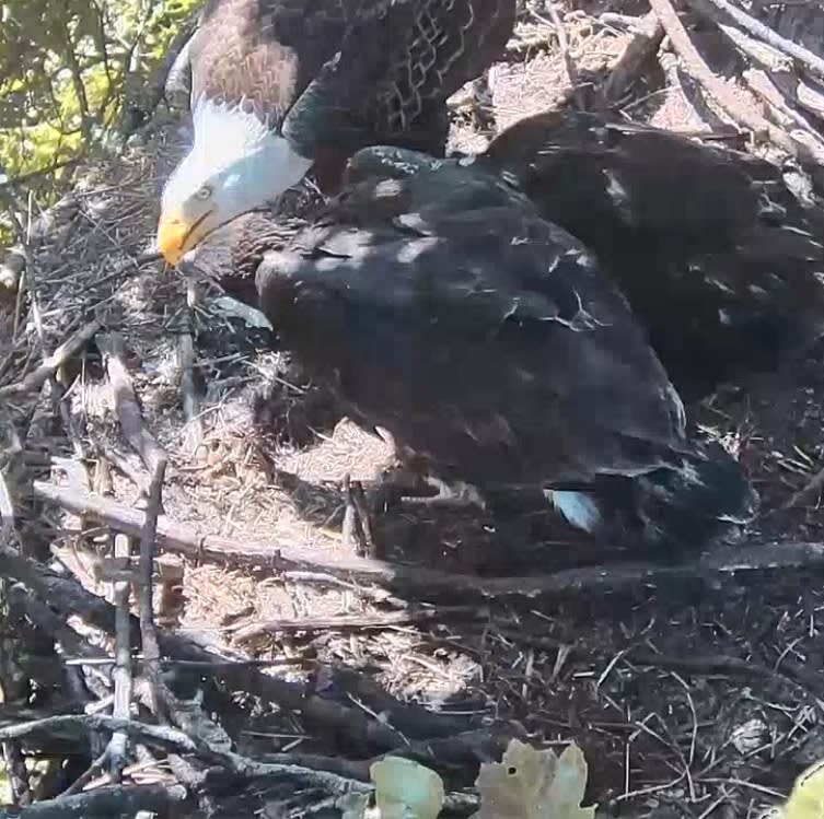 5ef5b4926aa8361c6dc70b09e81cd461