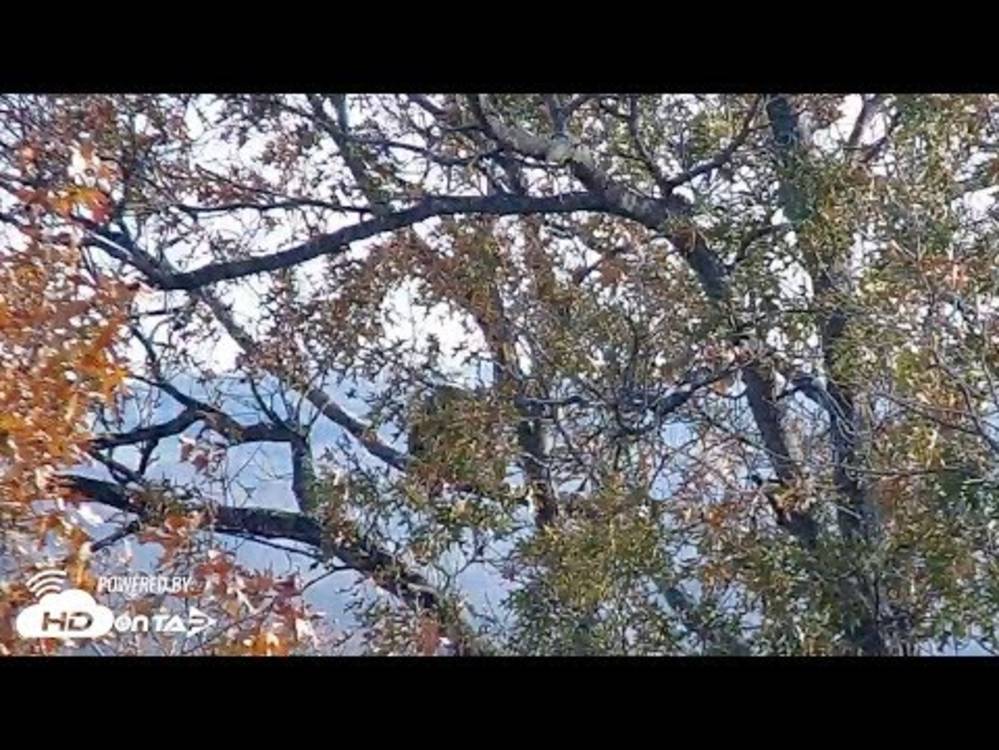 Long Beach Harbor Cam Live Cams Hdontap