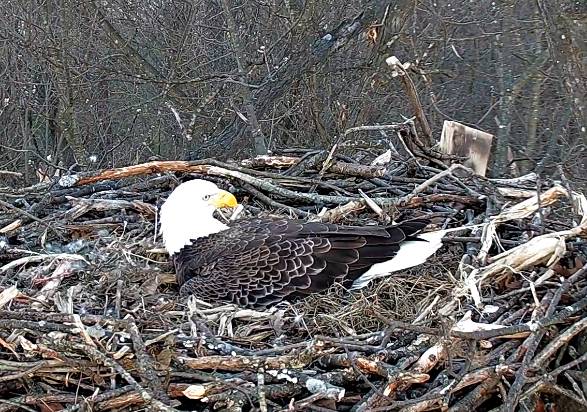 944627a5be708405500bdd7da3630f77