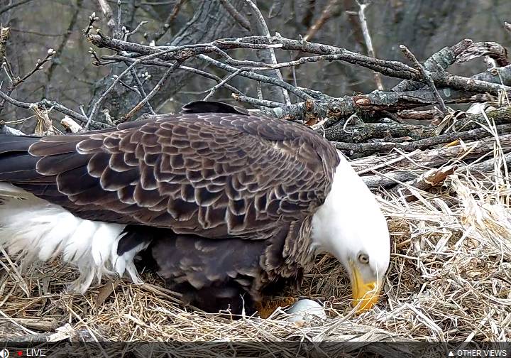 aadd7711aa359a9659506eb8ee7f3921