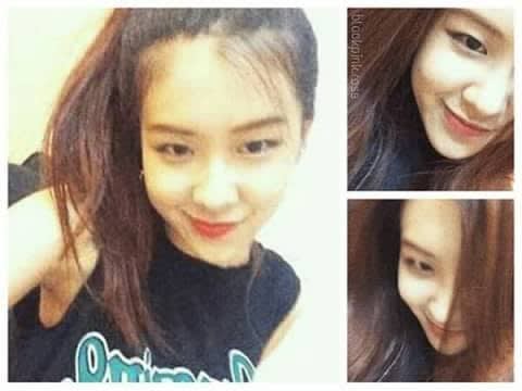 Rose is lying ? | Page 2 | allkpop Forums