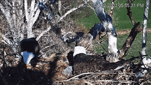 846782767467b72d50f57d592584dc3e