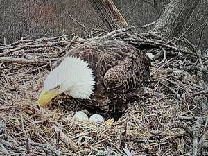 8b459644053874c73bf2ae9389cd3a9c