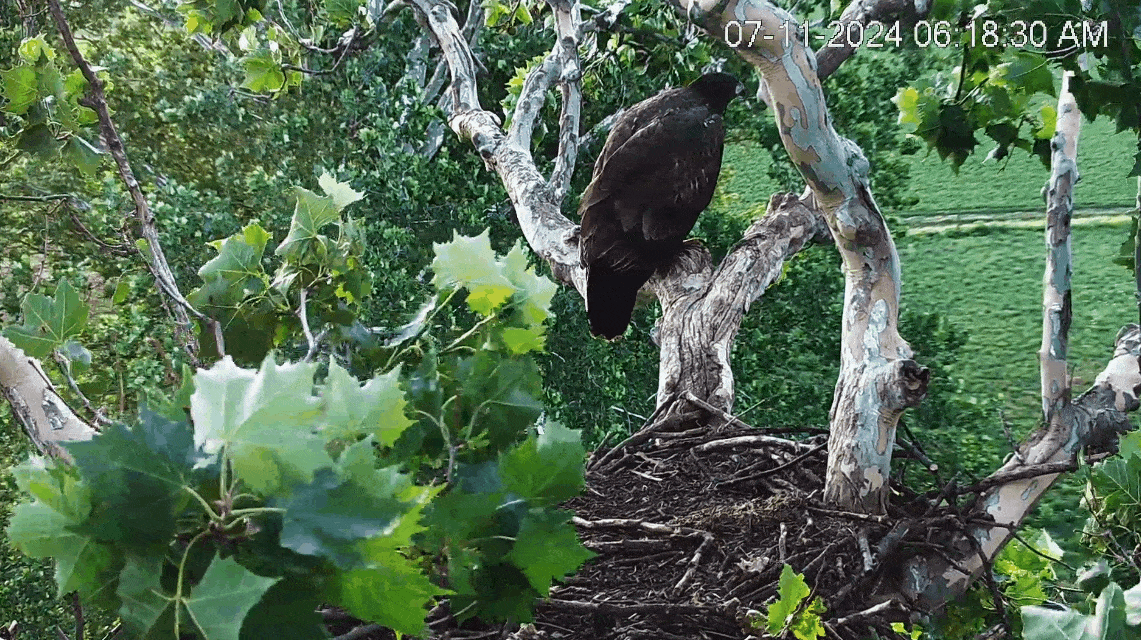 92e4da9f645e0a25a0fa0ddfb03f118d