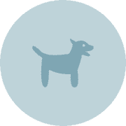 Bluedog's avatar