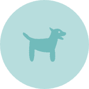 Cyandog's avatar