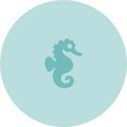Cyanseahorse's avatar