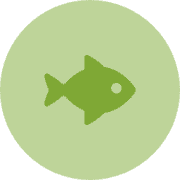 Greenfish's avatar