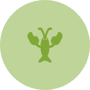 Greenlobster's avatar