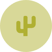 Olivecactus's avatar