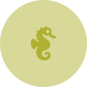 Oliveseahorse's avatar