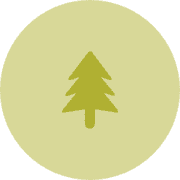 Olivetree's avatar