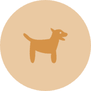 Orangedog'un avatarı