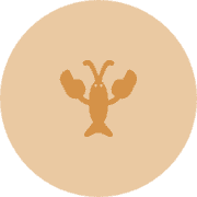 Orangelobster's avatar