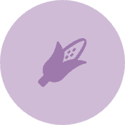 Purplecorn'un avatarı