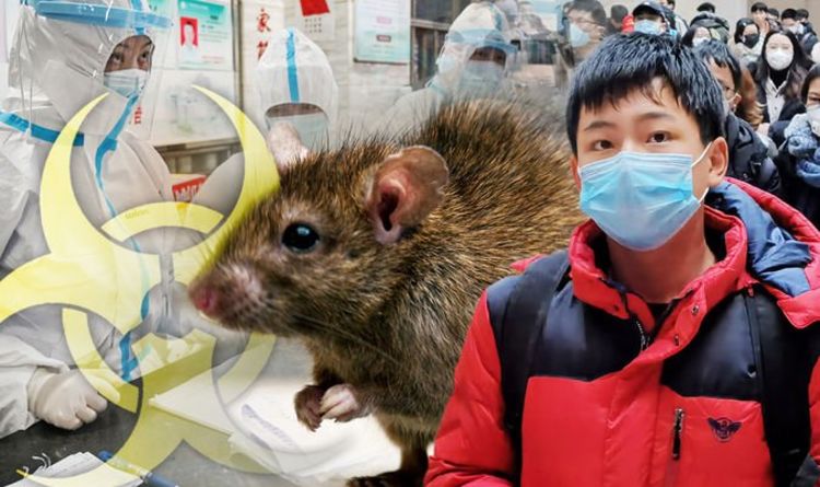 Bubonic Plague: Chinese city issues black death level three plague ...