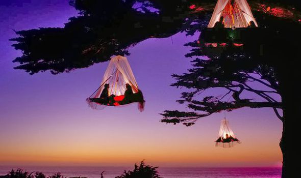 Sleeping dangling from a tree is an incredible experience | Travel ...
