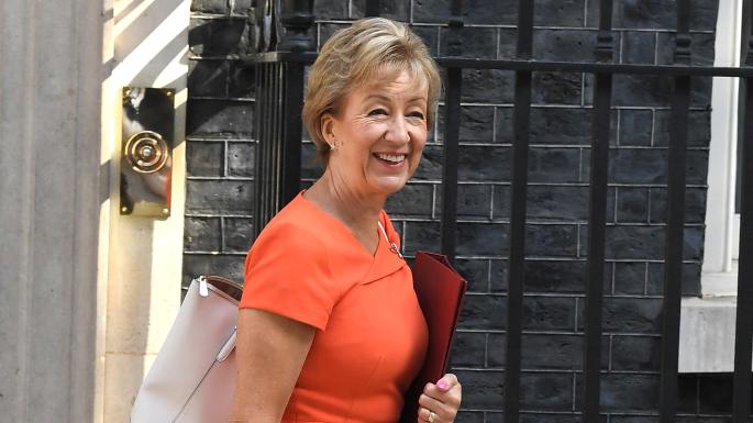 Image result for Business minister Andrea Leadsom