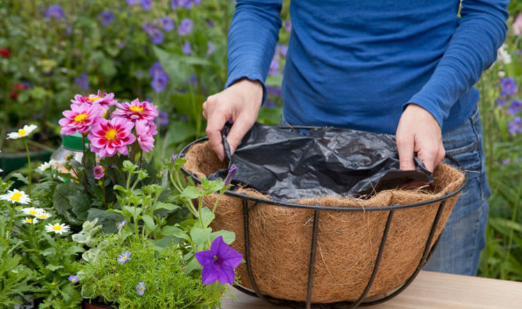 Alan Titchmarsh S Tips On Planting Flower Beds And Hanging Baskets