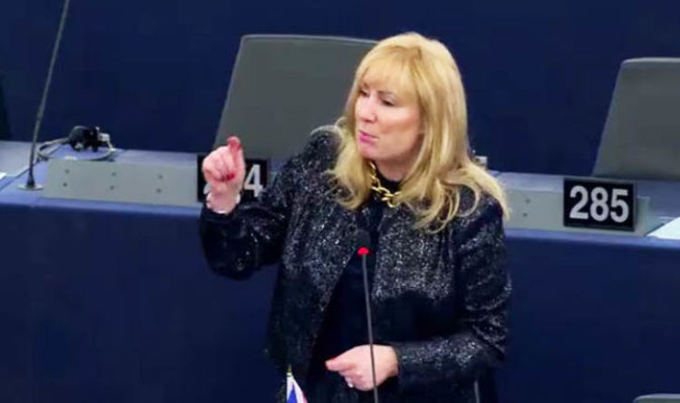Image result for UK MEP Janice Atkinson