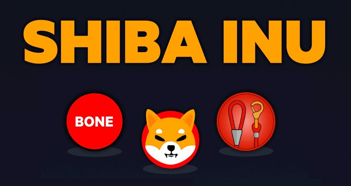 Mysterious Whale Buys 699 Billion Shiba Inu Coins Worth 5 Million From Binance