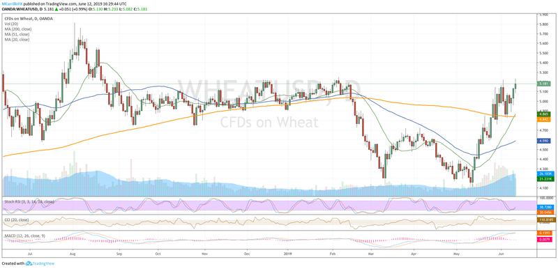 Corn Wheat And Soybeans Rally On Lower Grains Forecasts - 