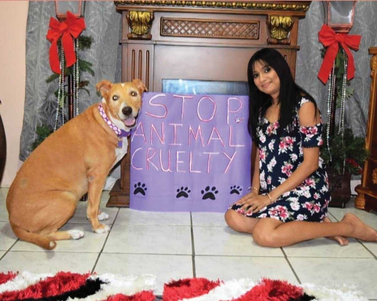 Activists Welcome New Penalties For Animal Cruelty Cnc3