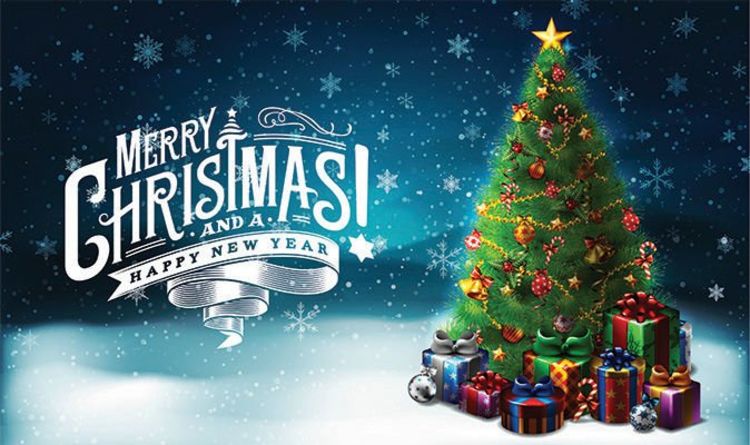 Image result for happy christmas images