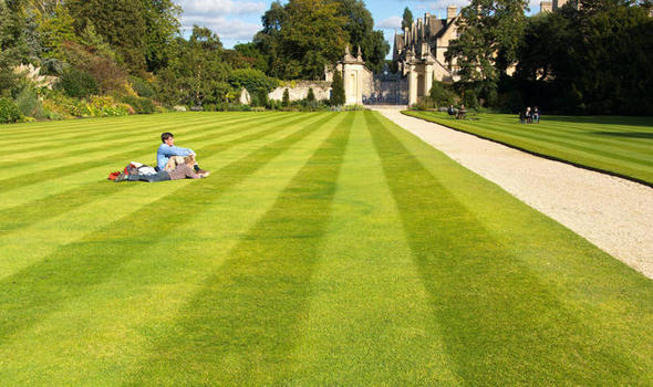 Why the weather could put British lawns 