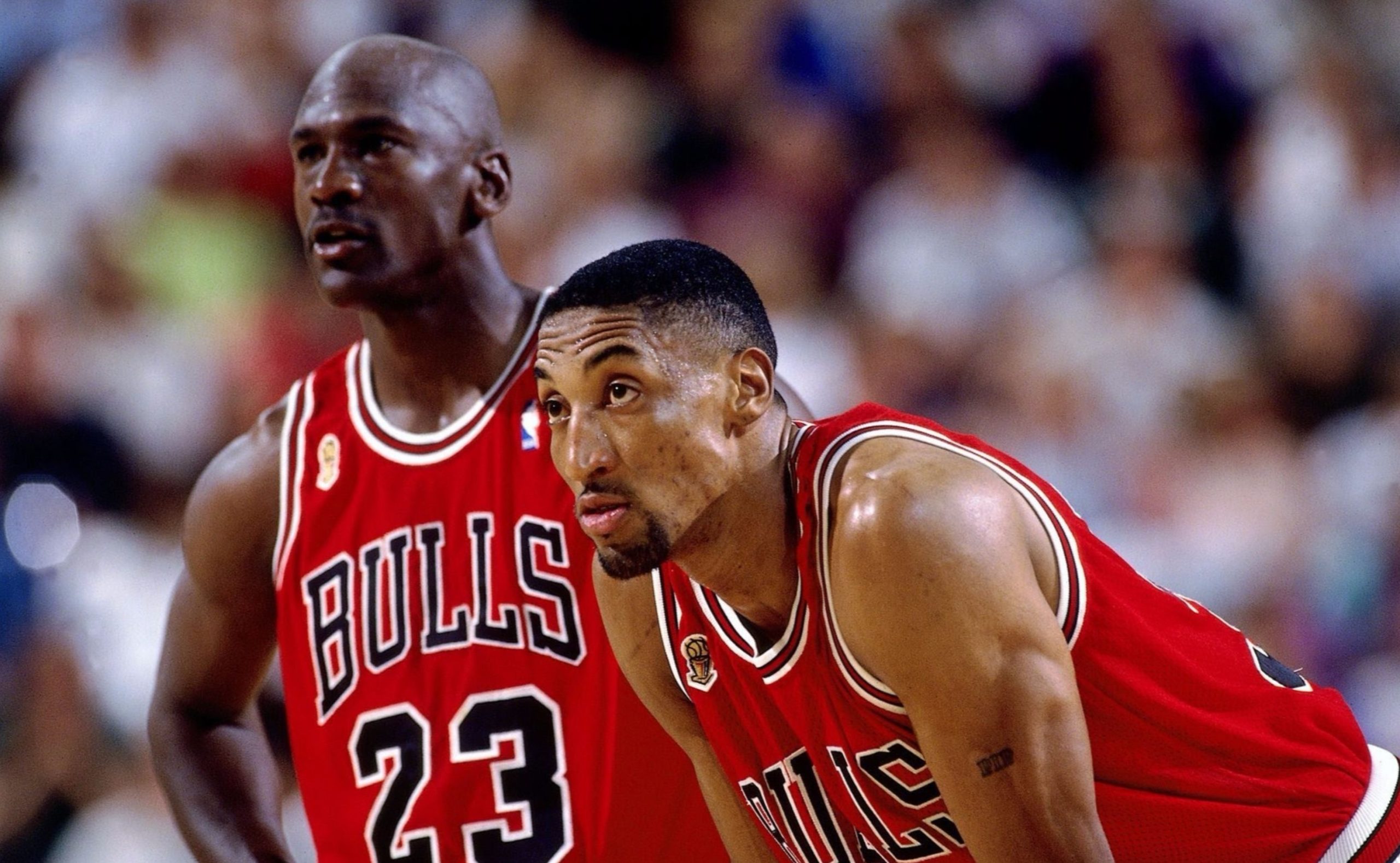 bulls 1993