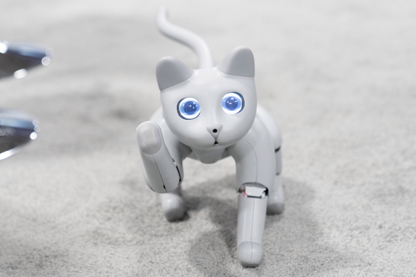 Meet Marscat A Robot Cat With Lots Of Love To Give And Room To Grow Techcrunch