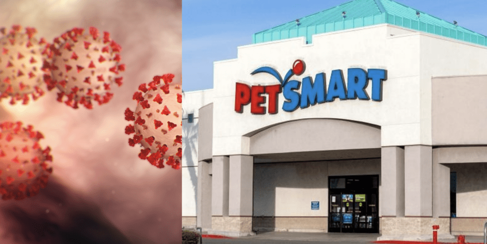 petsmart grooming salon