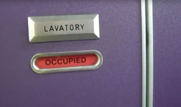 Hidden Plane Toilet Latch That Opens The Door From The Outside