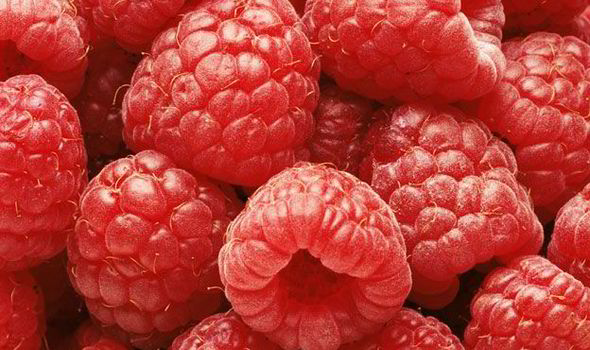  Raspberries For Fertility