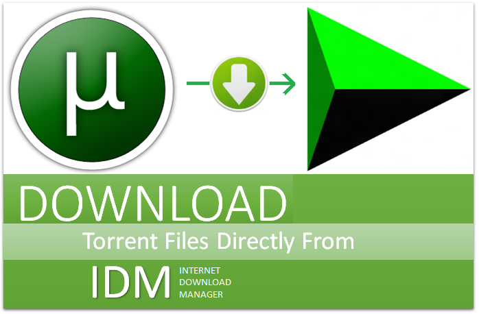 How to know which torrent to download