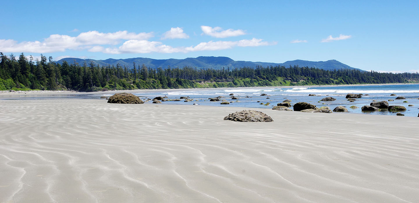 Travel experts declare Vancouver Island's Long Beach, Tofino the best beach in Canada