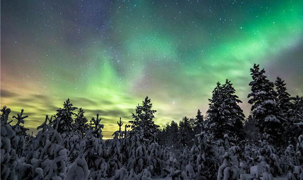 Stunning Pictures Show Snow Covered Trees Lit Up By Northern