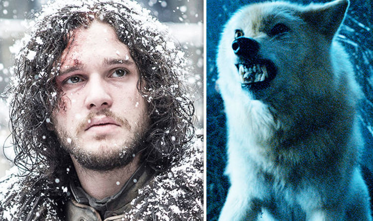 Game Of Thrones Season 8 Spoilers Jon Snow And Ghost Secret Link