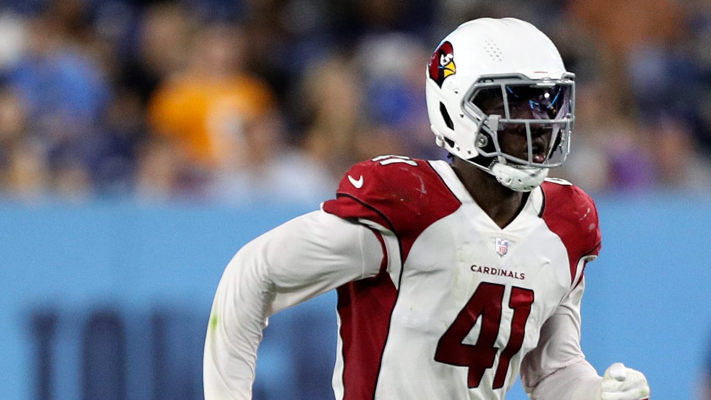 Arizona Cardinals get more defensive line help in Pro Football