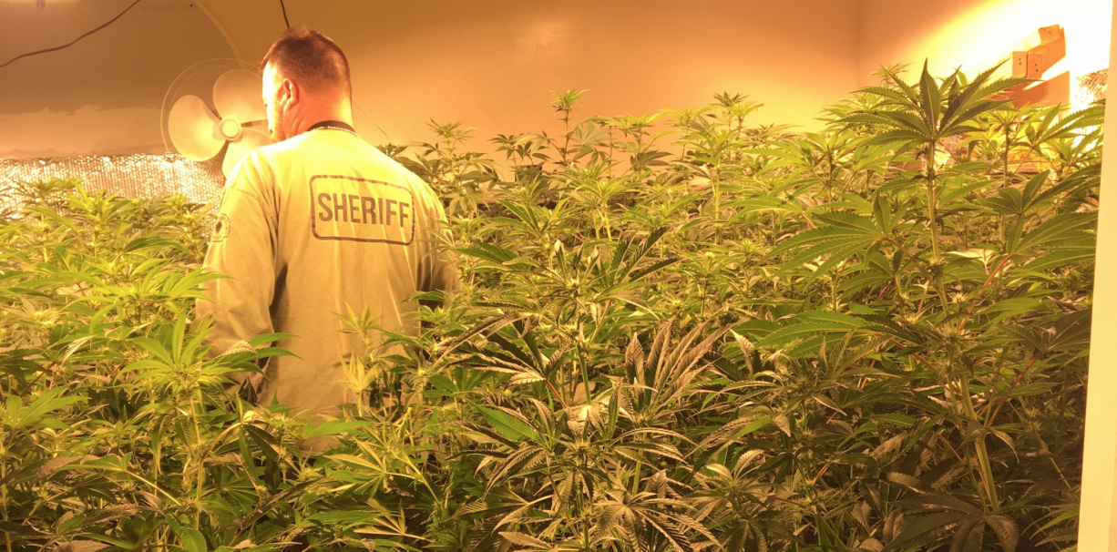 5 Search Warrants Served At Illegal Indoor Grow Operations In The Victor Valley Vvng Com Victor Valley News Group