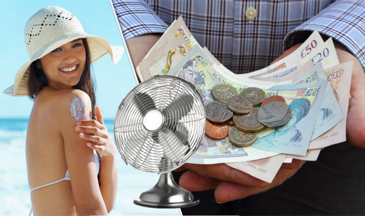 where to buy a fan