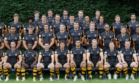 wasps rugby