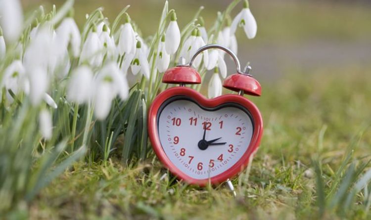 Image result for clocks spring forward