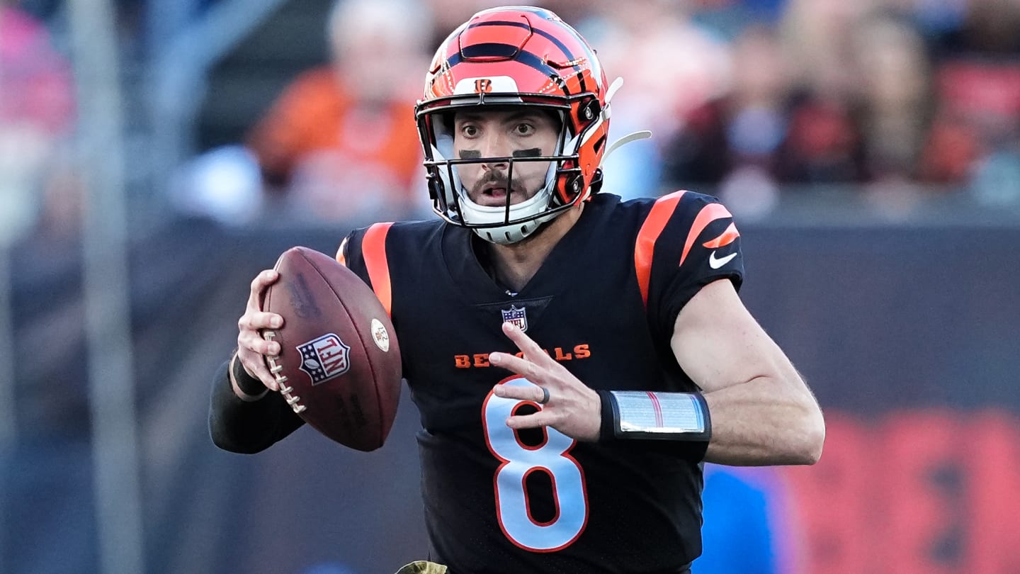 Is Brandon Allen the Bengals' backup QB of the future? - Cincy Jungle