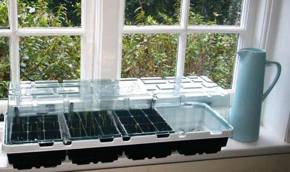 Tried Tested Unwins Windowsill Propagator Express Co Uk