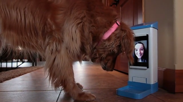 remote dog treat