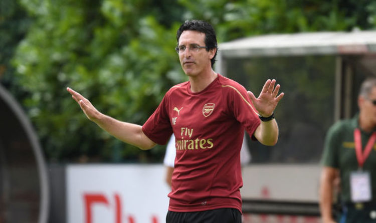 Image result for Unai Emery reveals Arsenal's January transfer plans - with one position key