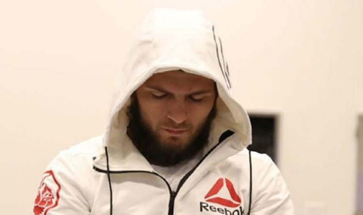 reebok khabib hoodie