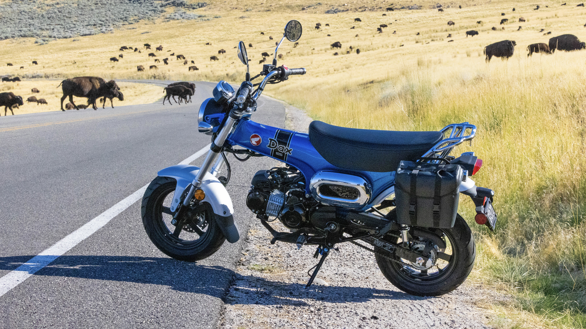 Mini Motorcycles 2025 Mini Motorcycles For Sale | Motorcyclist